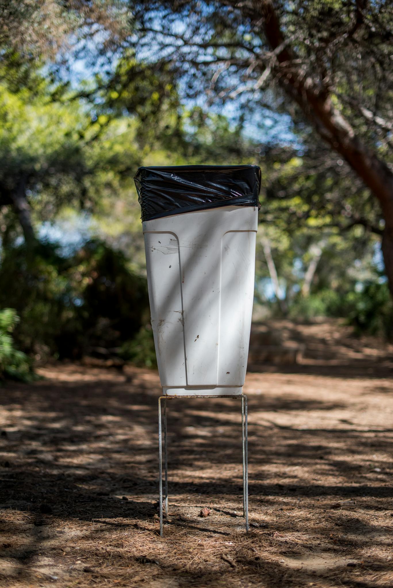 A white trash bin with black liner in a sunlit forest area.