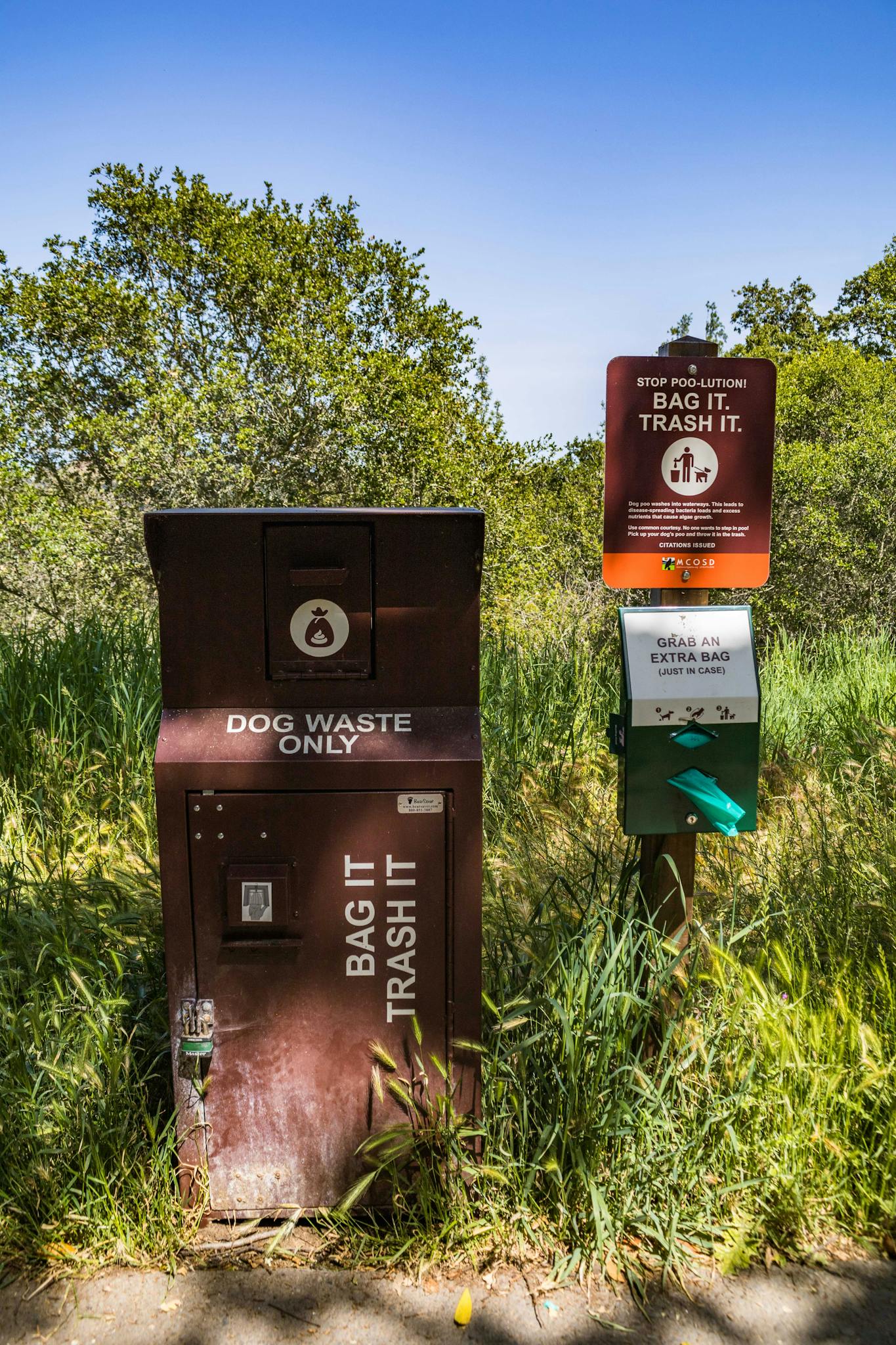 Dog waste station and bag dispenser in a sunny, green park setting.